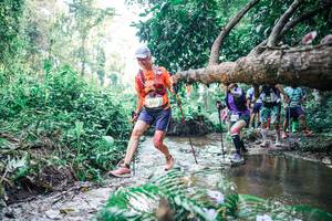 BIB: 
                            <button type="button" onclick="openModal(25451993)" class="btn btn-primary btn-sm float-right btn-popup" data-toggle="modal" data-target=".modal-high-quality">
                        <i class="fas fa-shopping-cart"></i> Add to Cart
                    </button>
                                            <button type="button" onclick="isThisMe(25451993, true)" class="btn btn-success btn-sm float-right btn-popup btn-isme hidden" data-toggle="tooltip" data-placement="bottom" title="นี่คือรูปของคุณใช่ไหม คลิกที่นี่เพื่อเอาเข้าอัลบั้ม">
                        <i class="fas fa-plus"></i> Add to album
                    </button>
                    <button type="button" onclick="isThisMe(25451993, false)" class="btn btn-warning btn-sm float-right btn-popup btn-isnotme hidden">
                        <i class="fas fa-ban"></i> Remove from album
                    </button>